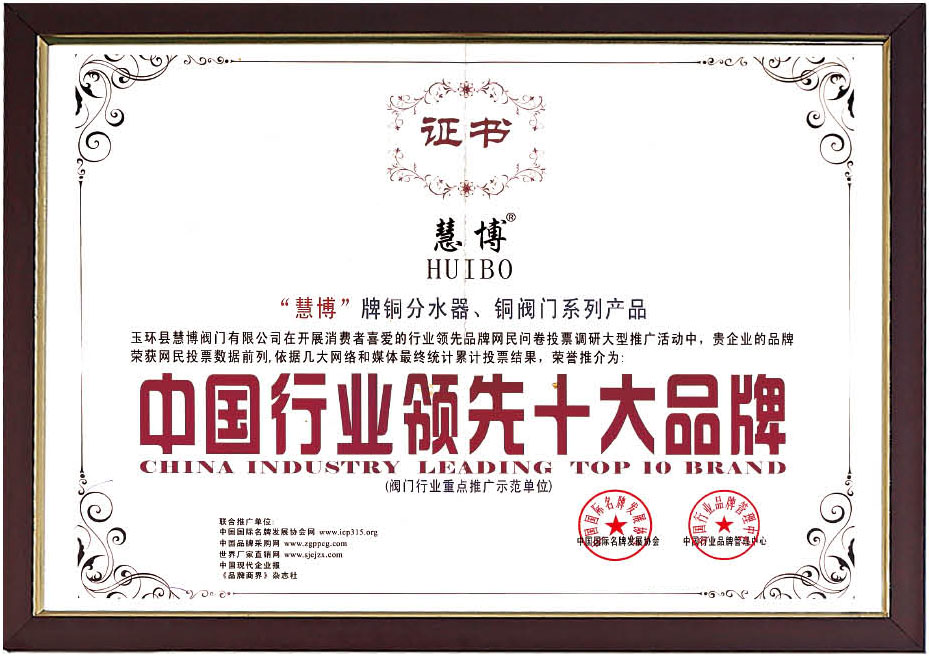 中国行业领先十大品牌